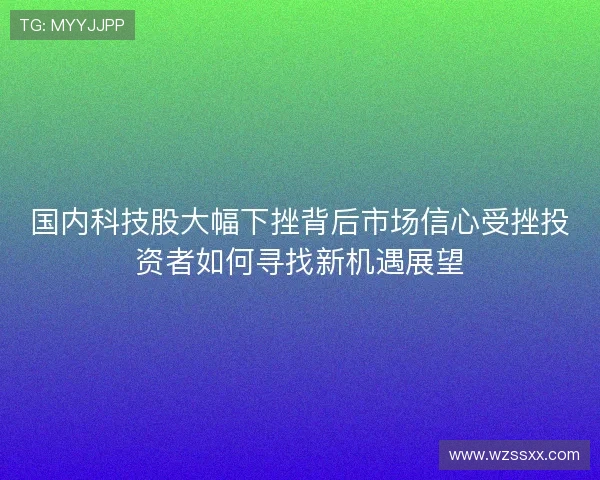 国内科技股大幅下挫背后市场信心受挫投资者如何寻找新机遇展望 国内科技股大幅下挫背后市场信心受挫投资者如何寻找新机遇展望
